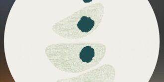 LOGO ESPAÇO VÍNCULO & EXISTÊNCIA