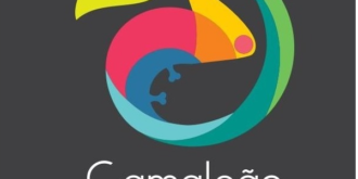 CAMALEÃO - ENERGIA SOLAR